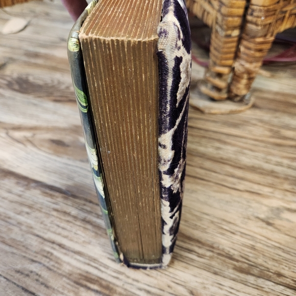 Vtg Victorian Lady & Man CELLULOID PHOTO ALBUM Scrapbook Velvet  Gold Hardware - Picture 5 of 16